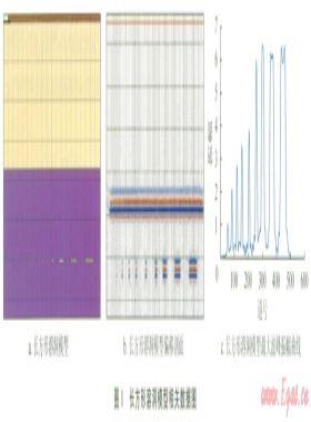 碳酸鹽巖縫洞儲層地震反射波特征及其與油氣的關(guān)系