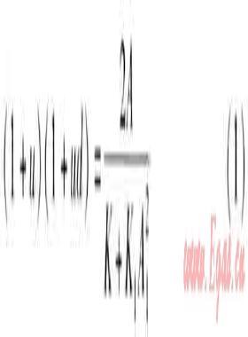 燃燒區(qū)負(fù)壓對大氣式燃燒器調(diào)節(jié)特性的影響