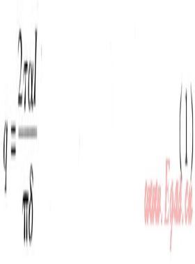 真空管太陽(yáng)能集熱系統(tǒng)溫度場(chǎng)、速度場(chǎng)模擬