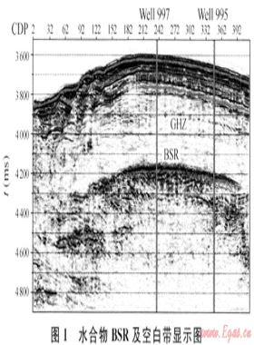 天然氣水合物勘查識別與實驗技術