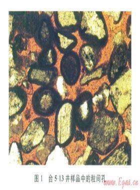 柴達木盆地臺南氣田低阻氣藏成因機理及測井評價