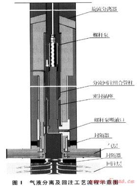 井下氣液分離及同井回注技術(shù)的應用